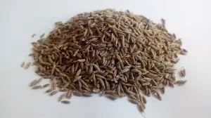 Ayurveda
